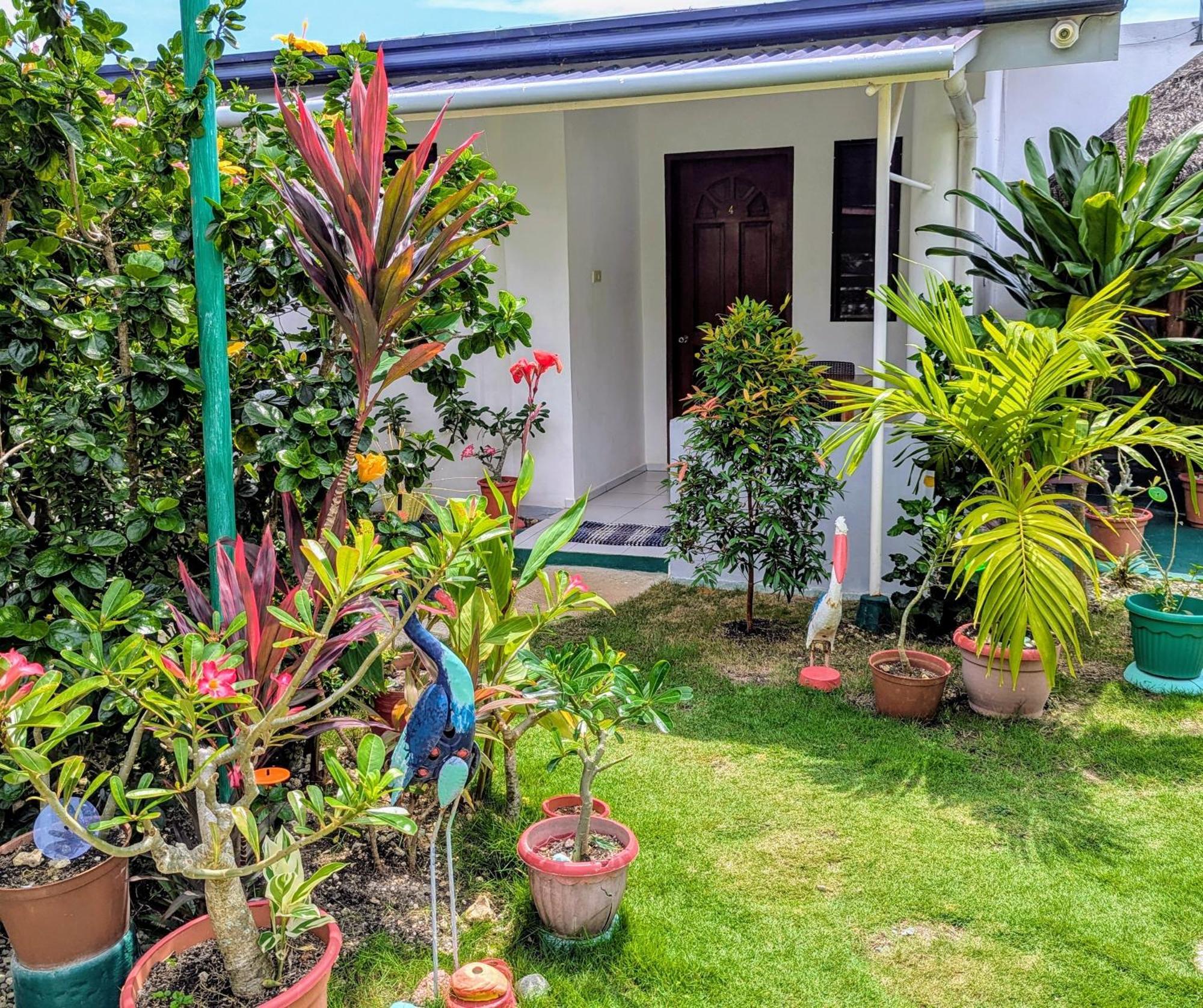 Astillo'S Guest Houses Moalboal Room photo